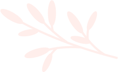 Servicios 11 leaves img